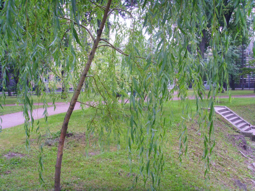 42601 (a): :1600x1200